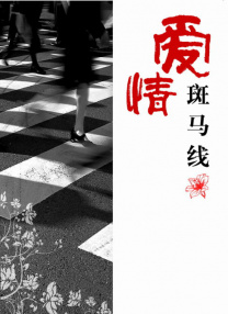 韩国女主播钟淑
